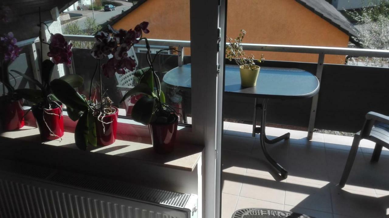 Obere Ferienwohnung Asshoff Zwischen Odenwald, Taubertal Und Bauland Berolzheim Exterior photo